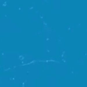 Meet your Posher, Farah